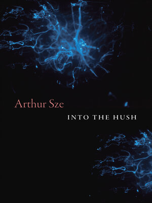 cover image of Into the Hush